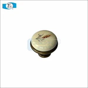CLkp15-PML-4